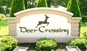 Deer Crossing Upper Chichester PA